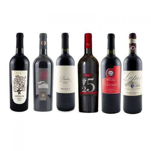 Selezione Vini Rossi